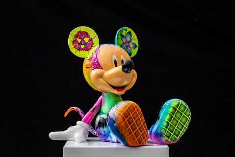 Mickey Hippie de Wttrwulghe Xavier